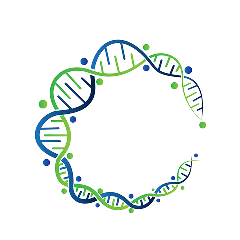 DNA Dyes